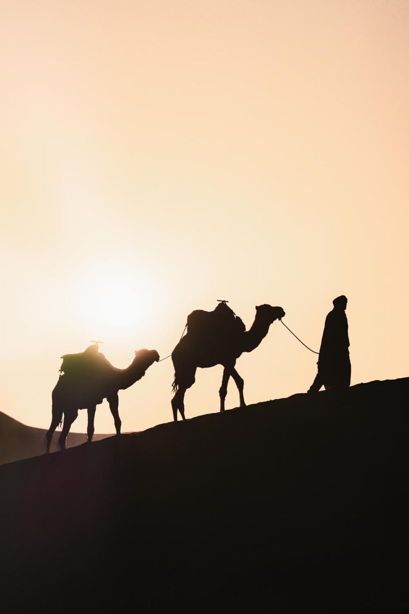 Royal Luxury Camp Hotel Merzouga Exterior photo